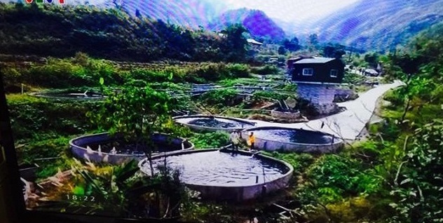 Cơ sở nuôi cá nước lạnh Ô Quý Hồ - Thương hiệu sản phẩm cá hồi nổi tiếng ở Sapa.